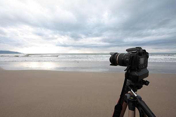 /uploads/image/2025/06/11/heavy-duty-pan-tilt5.jpg heavy-duty-pan-tilt5.jpg