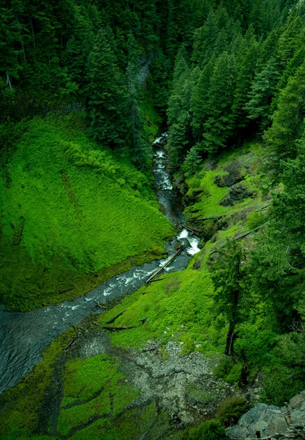 Cctv יישום עבור הגנת אש יער
