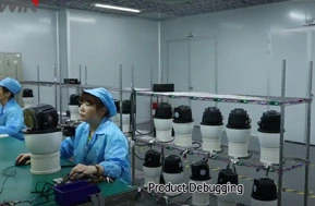 מצלמת cctv באגים