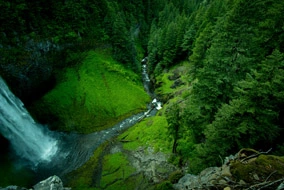 Cctv יישום עבור הגנת אש יער