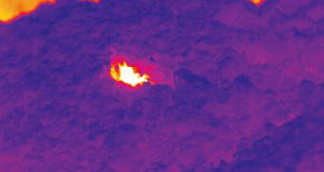 הדמיה תרמית