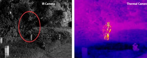 יכולת הסתגלות חזקה