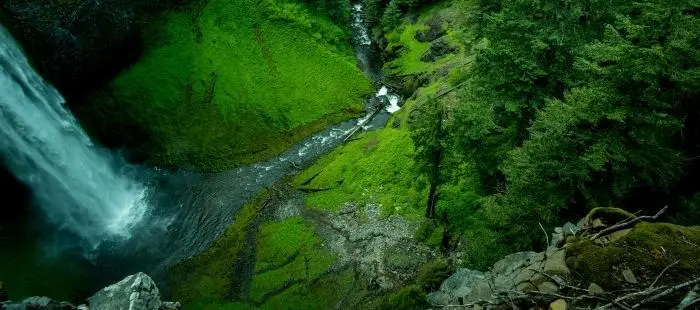 Cctv יישום עבור הגנת אש יער